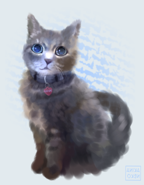 Cute Cat