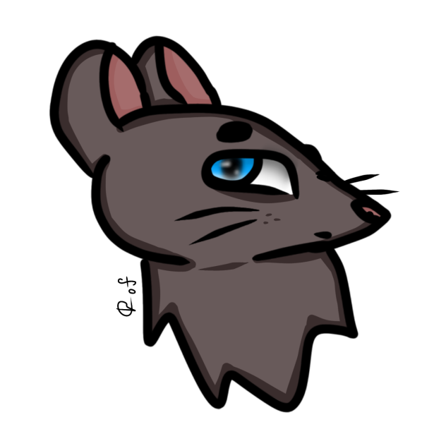 ✐︎Rat!𓁹◡︎𓁹