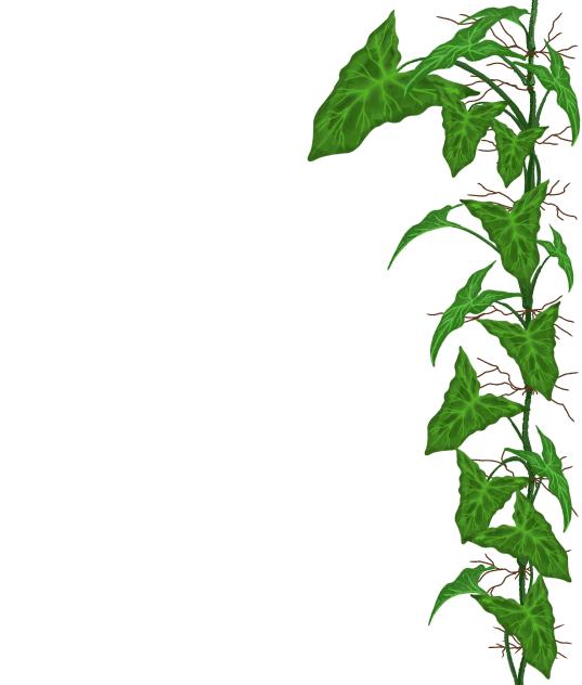 Syngonium