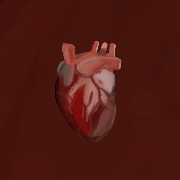 Human Heart