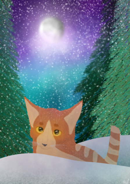 ✐Homeless cat in the snow...