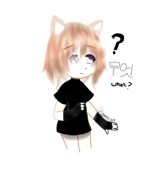 What - ibisPaint