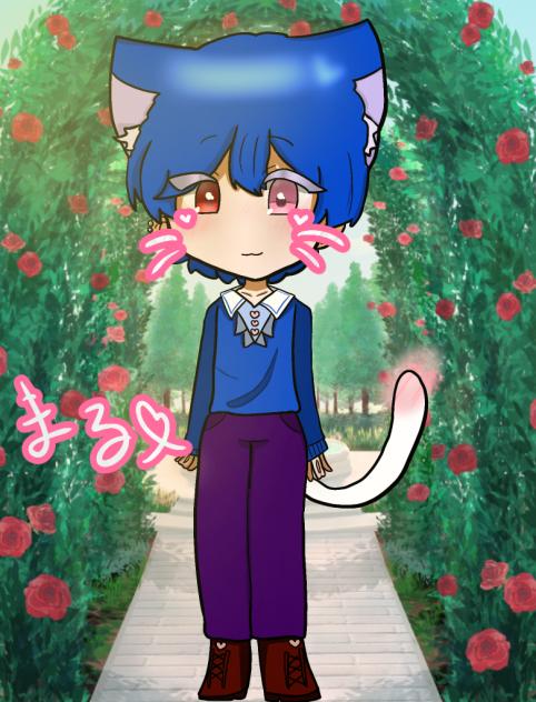 題355 まるくん！