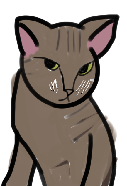 My cat - ibisPaint