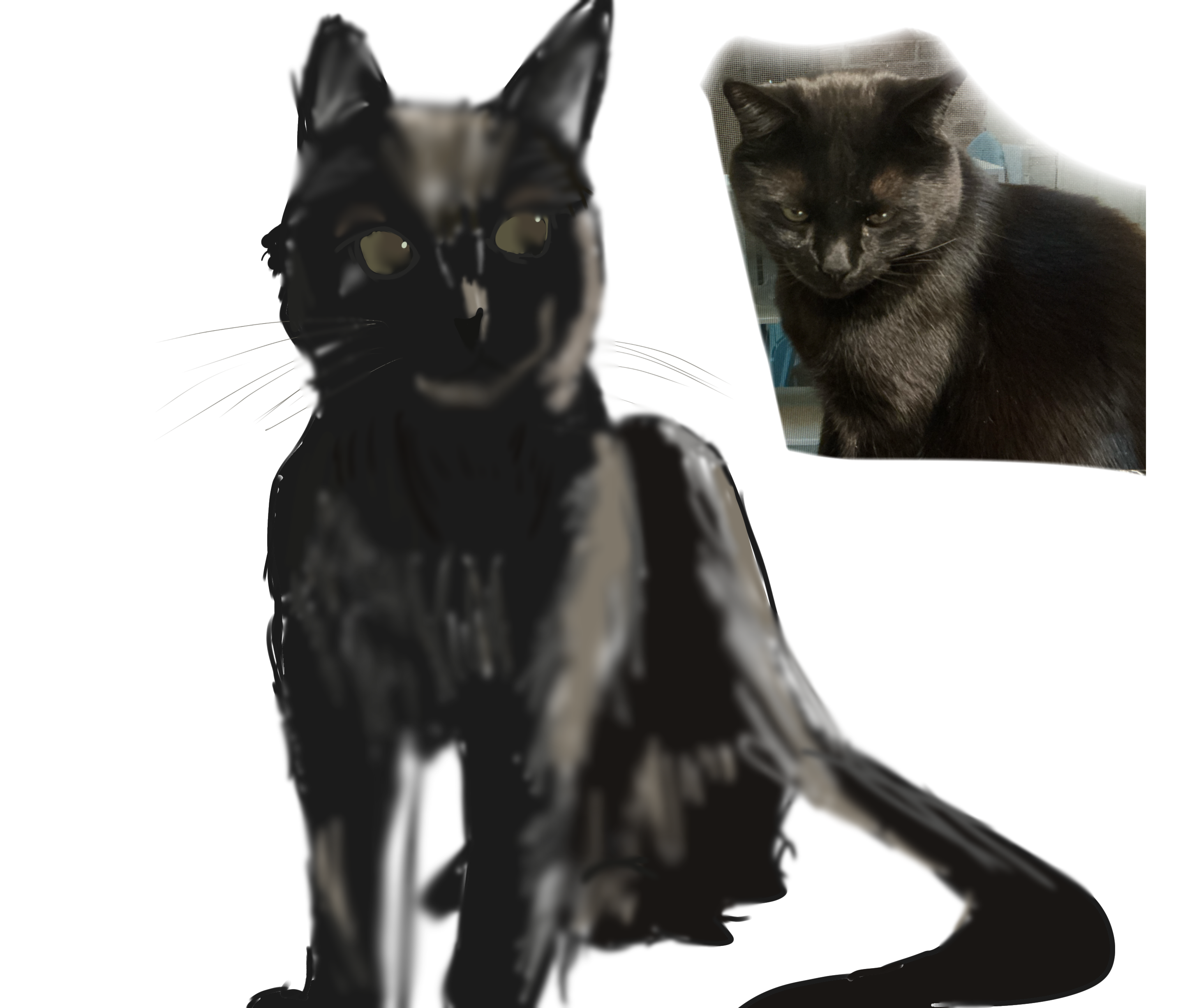 Shadow - ibisPaint