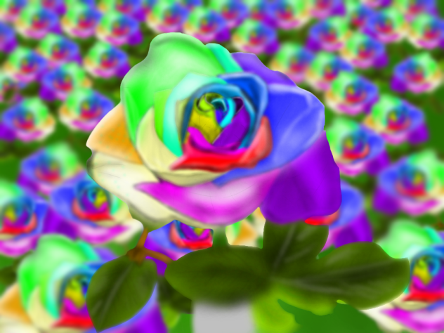虹薔薇