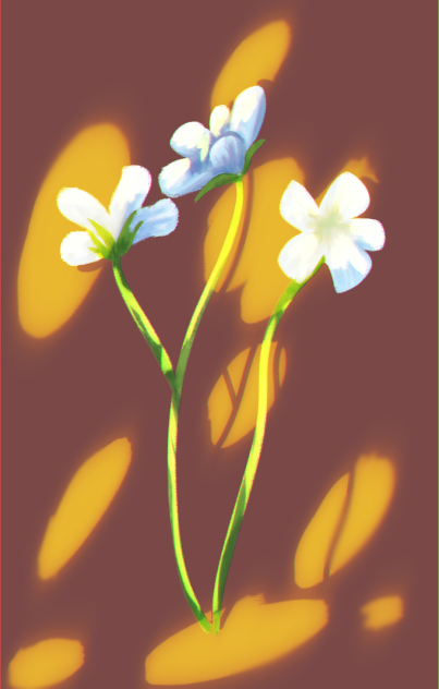 Flowers.