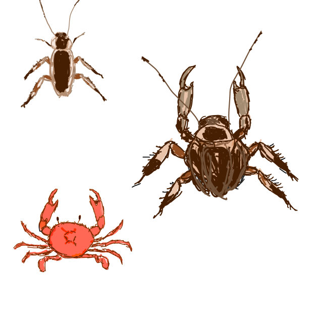 cockroach crab