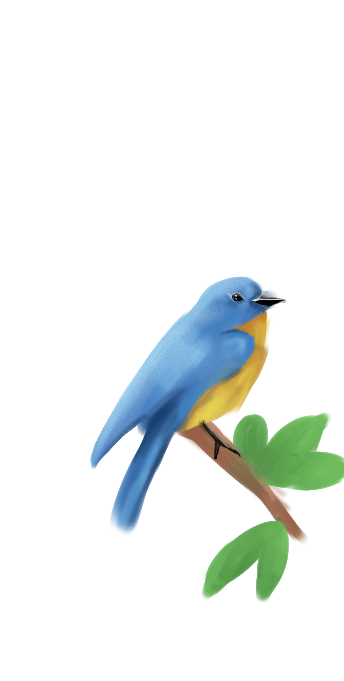 bird - ibisPaint
