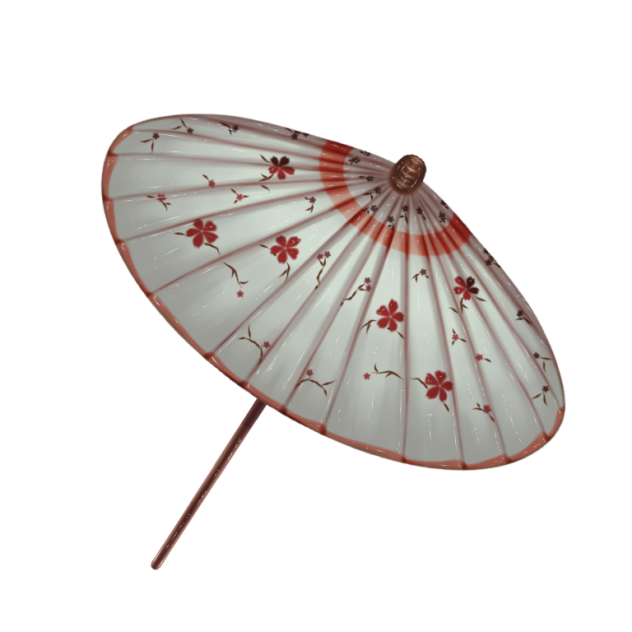 Umbrella 🌂