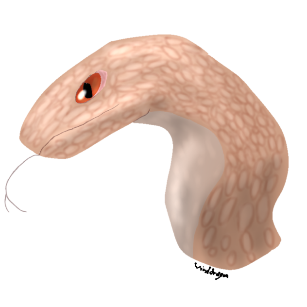Snek headshot thingy