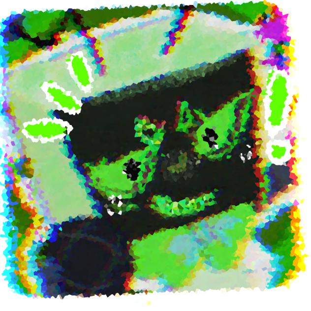 If this gets to daily rankings ISTG