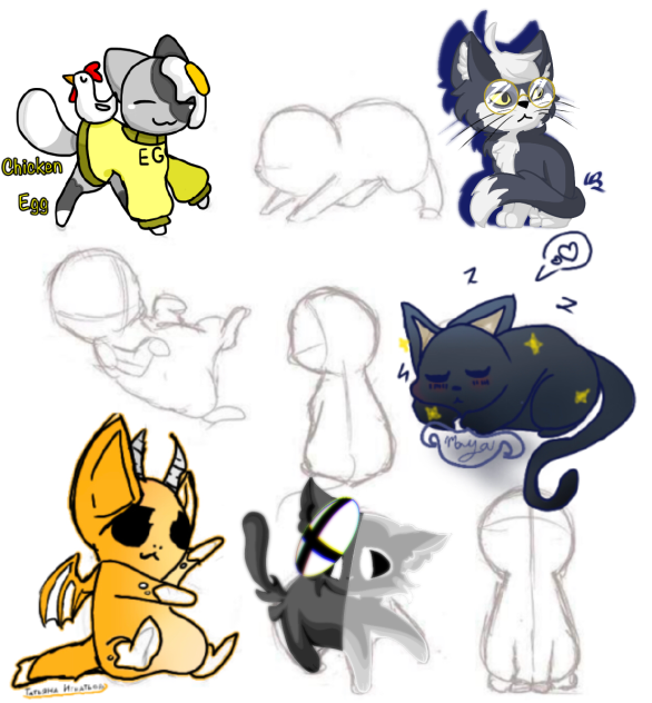 Animal collab
