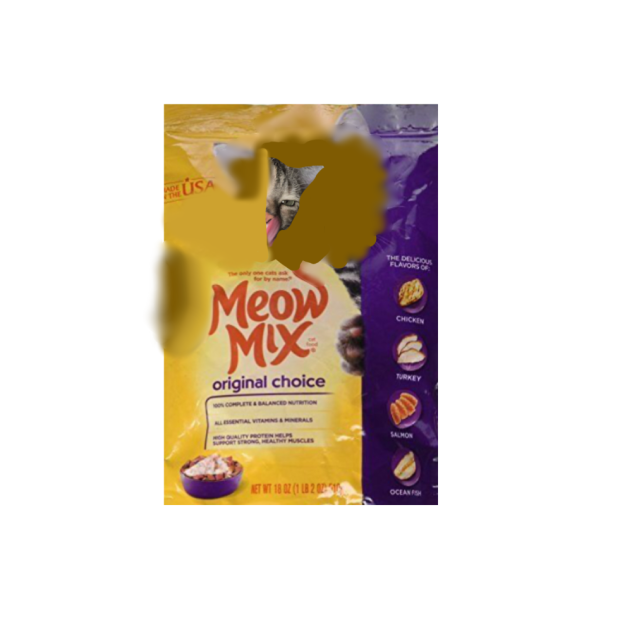 my cat is now food