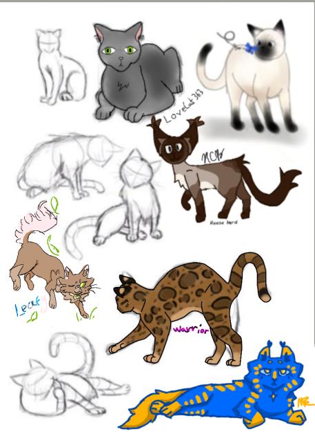 Cat colab (real one)