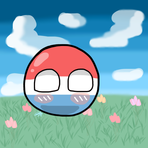 Netherlands in the fields