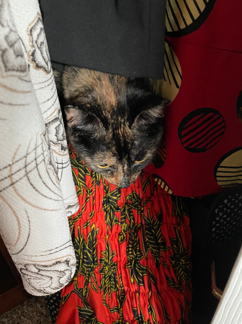 PEEKABOO MOTHERFUCKER