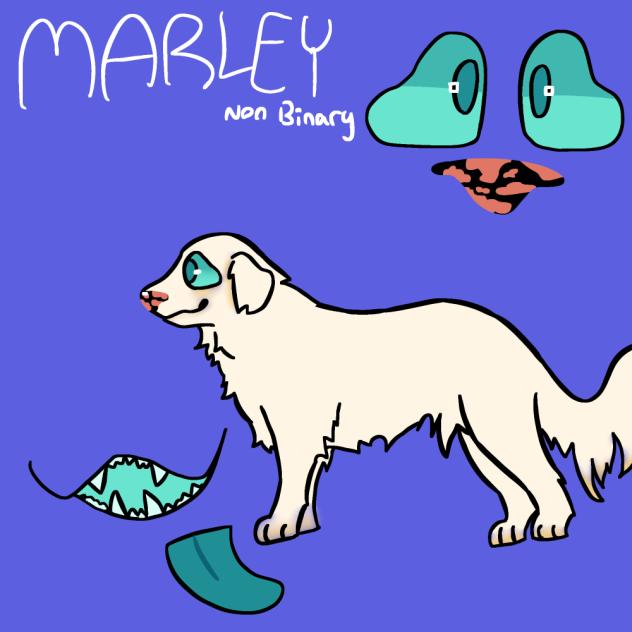Marley the Great Pyrenees!