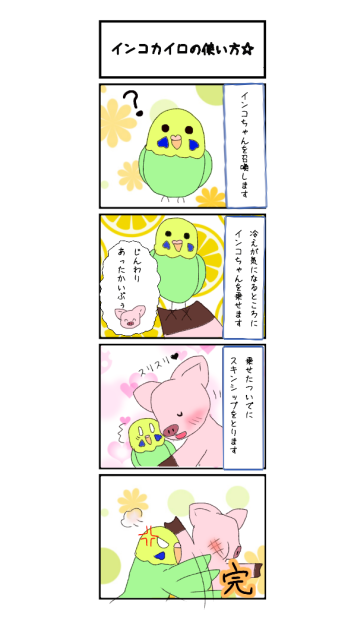 インコカイロ説明書