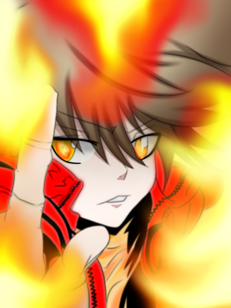 リボーン  ツナ