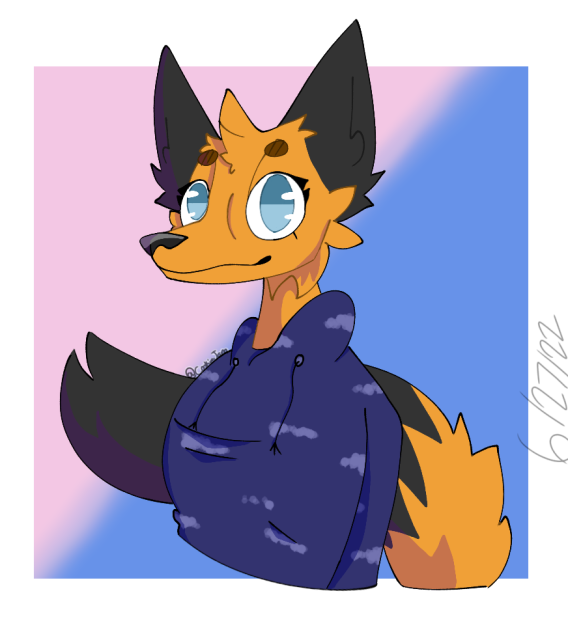 First Impression DrAwInG