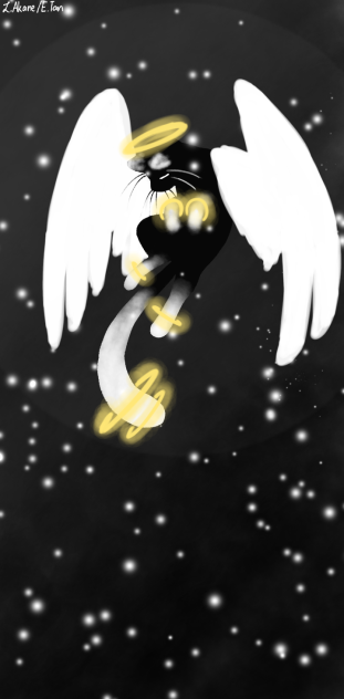 Death - ibisPaint