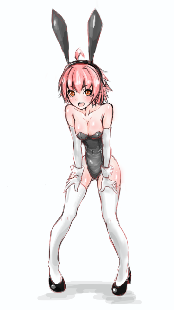 バニーガールちゃん←