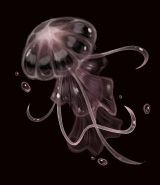 jellyfish[again]