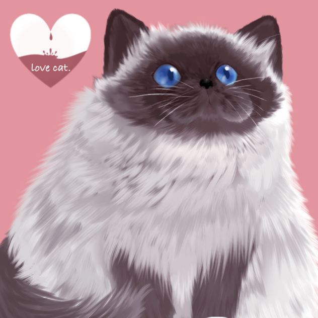 ぬこ
