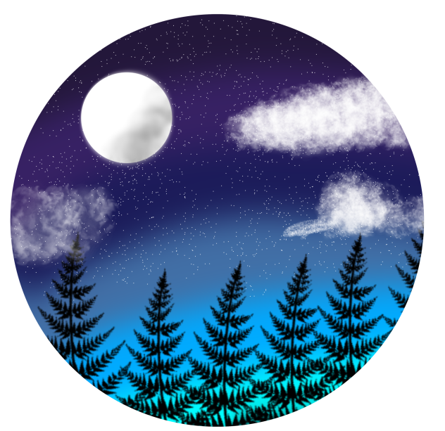 Night Sky