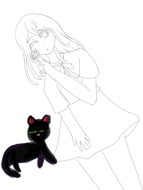 W.I.P