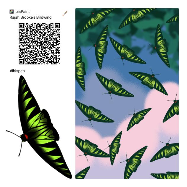 Rajah Brooke's Birdwing [ibisPen]