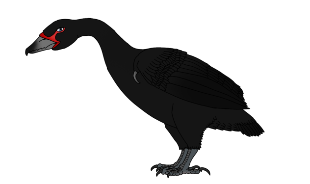 Black Cygniaus