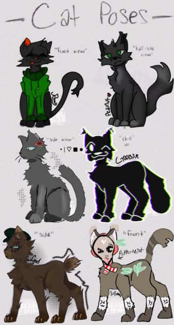 Cat poses collab!