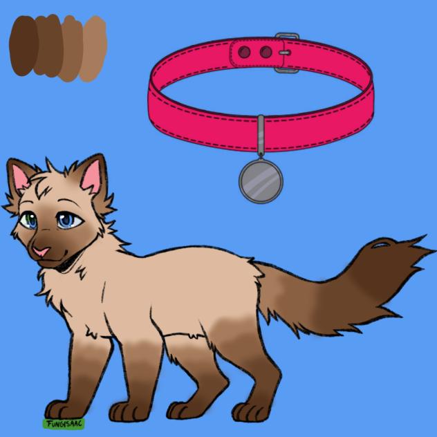 Shadey - Cat OC.