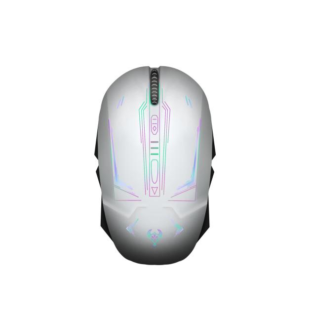 Computer Mouse