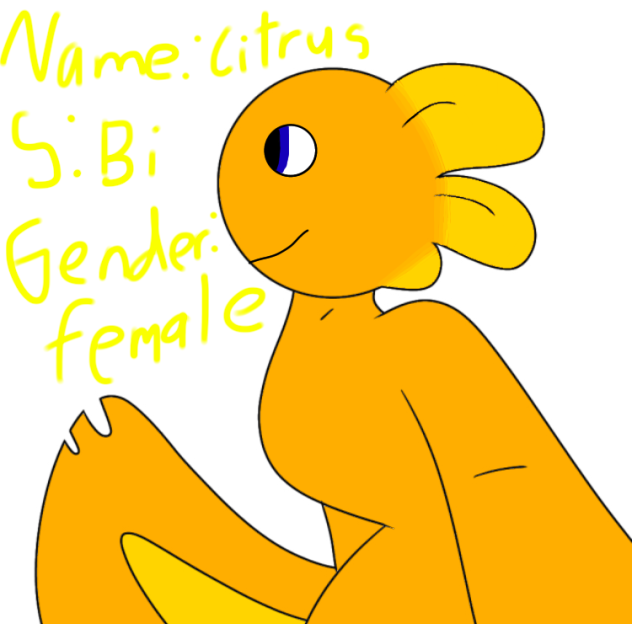 My OC Citrus