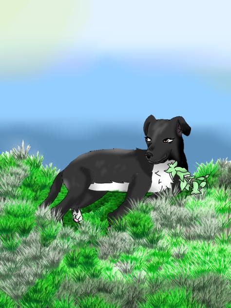 Marlee my little fur baby!