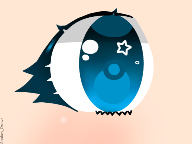 Eye