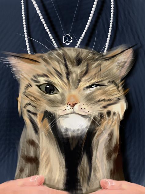 Meow you see me… meow you’re in love