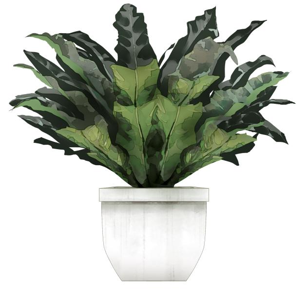 plant decor