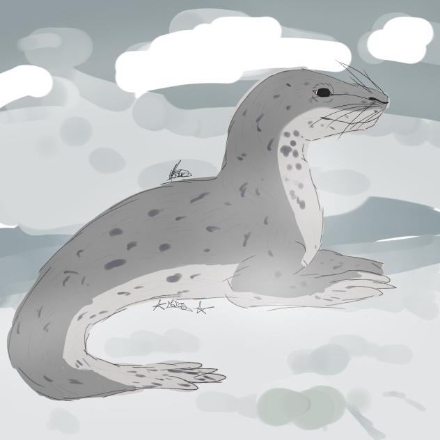 leopard seal (cute version)