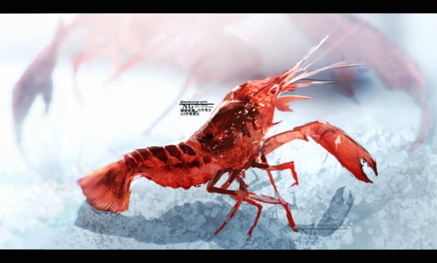 🦞