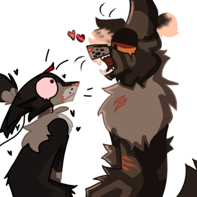 Gay catz