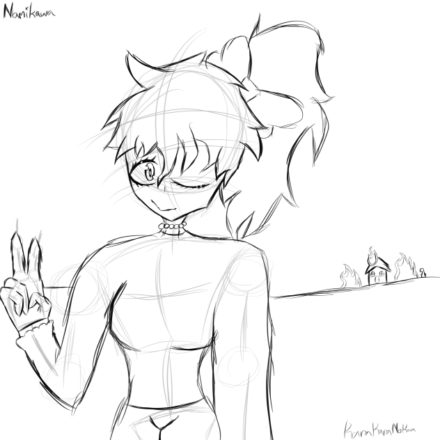 For Namikawa x3