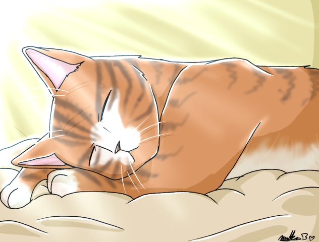 Lazy Cat😺💕💤😪.2024.07.07-13.45