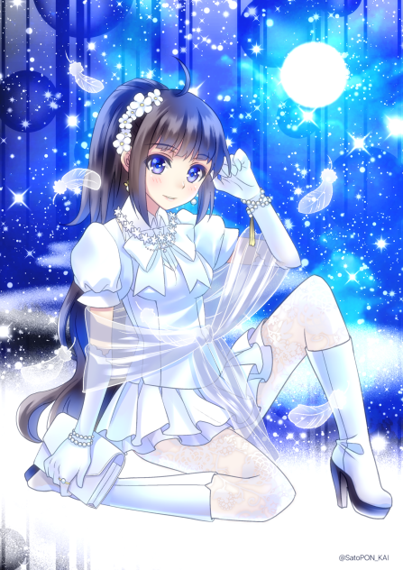 うちのニキちゃん