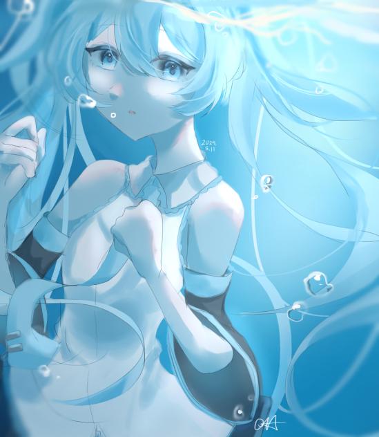 🫧💙🐬