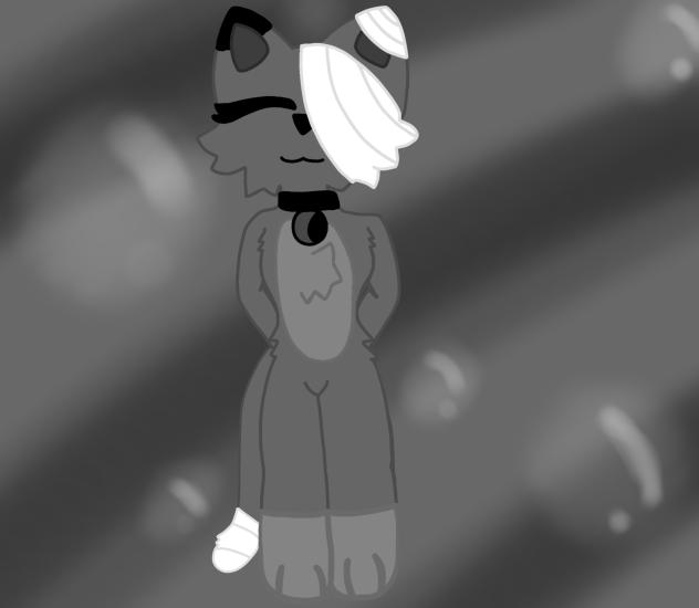 Random Darkkit Pose