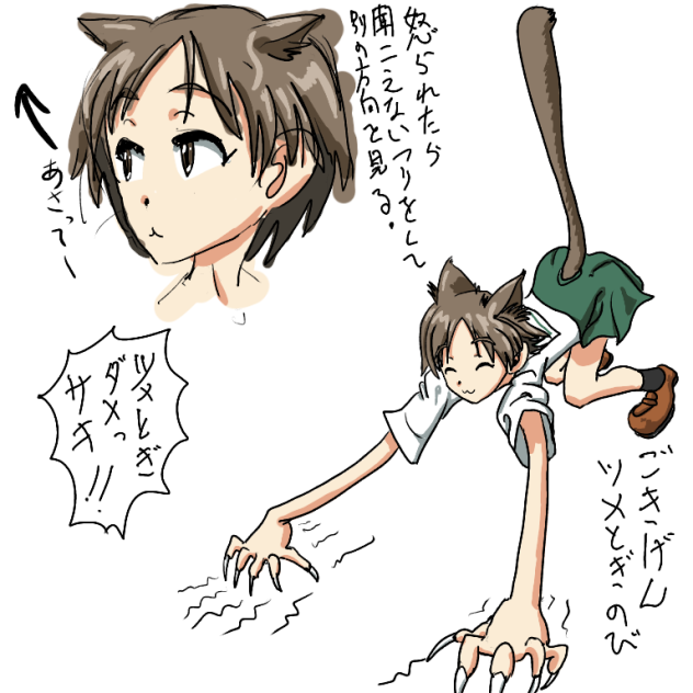 丸山紗希ネコ